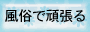 �����Ŋ撣�鏗��������